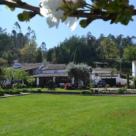 Quintal De Alem Do Ribeiro-Turismo Rural Hotel Lousã Exterior foto