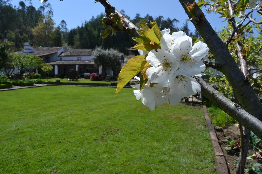 Quintal De Alem Do Ribeiro-Turismo Rural Hotel Lousã Exterior foto